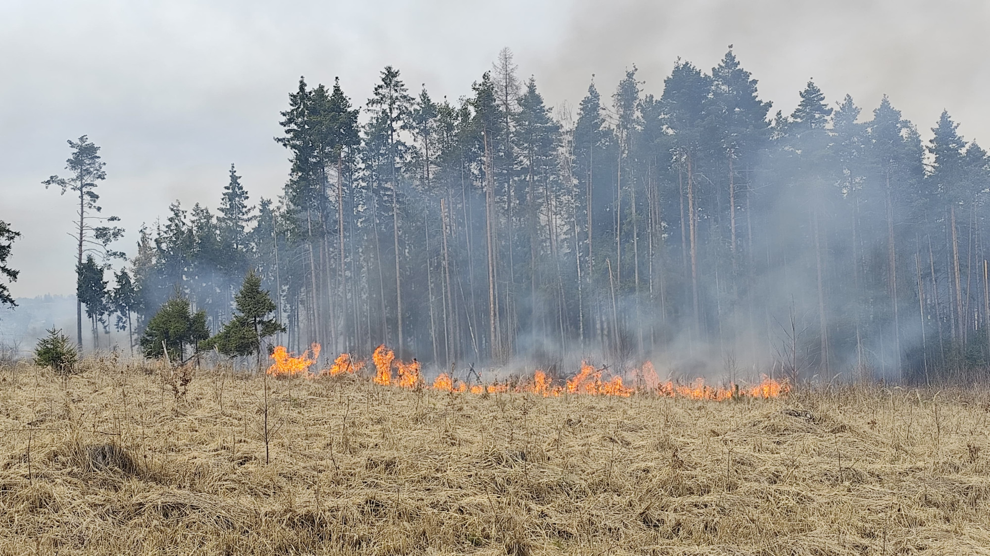 size4 17744557035868 152 foto u&nbsp;vyskytne hori les hasici odhaduji skodu na pet milionu korun